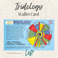 Iridology Beginner's Wallet Card - Alternative Healing