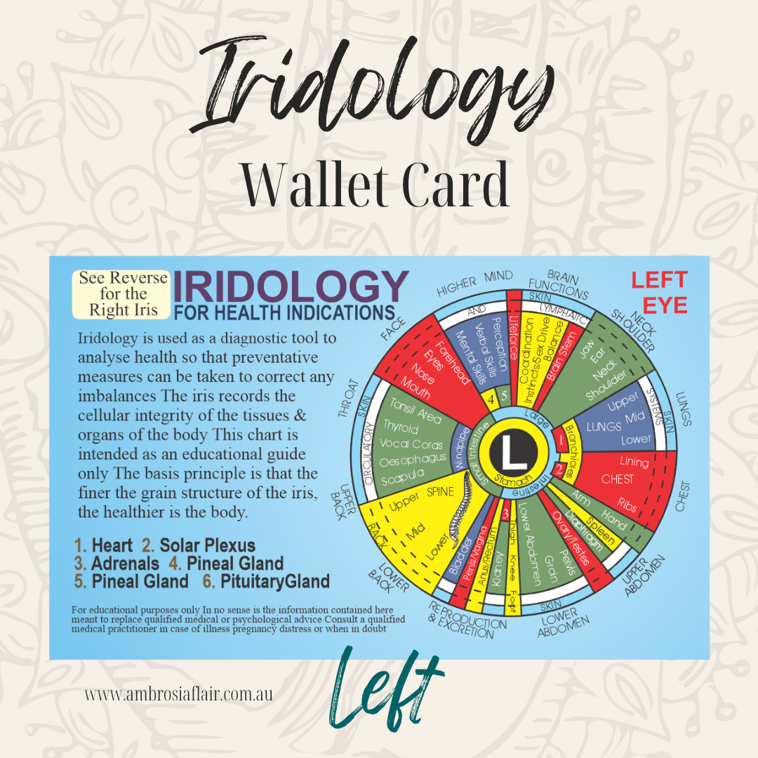 Iridology Beginner's Wallet Card - Alternative Healing