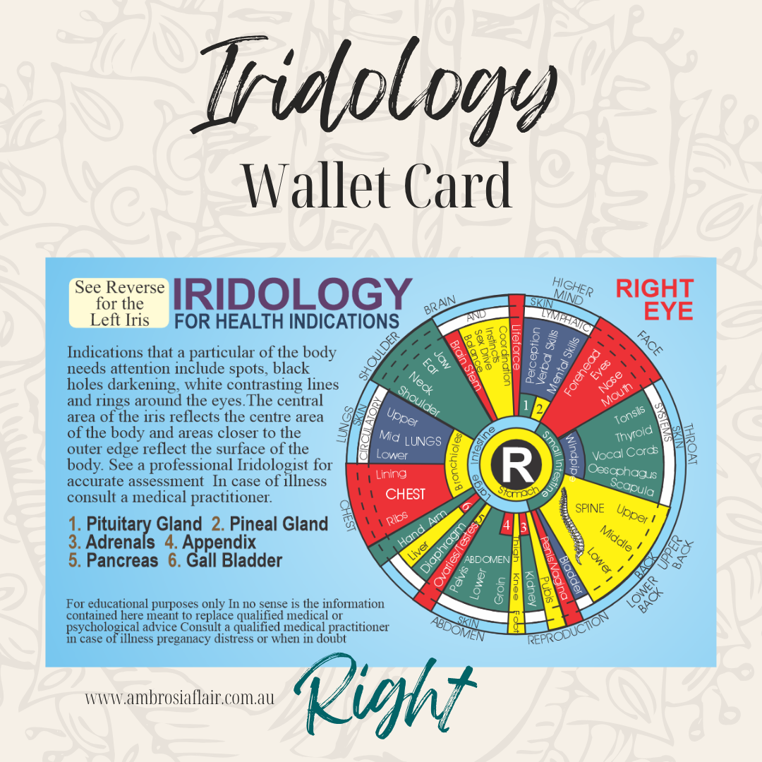 Iridology Beginner's Wallet Card - Alternative Healing