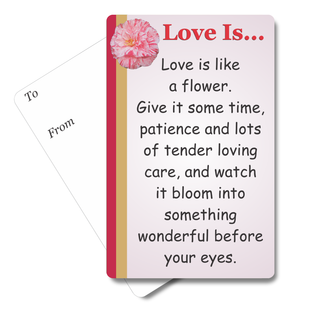 Love Is.. Mini Pocket Card