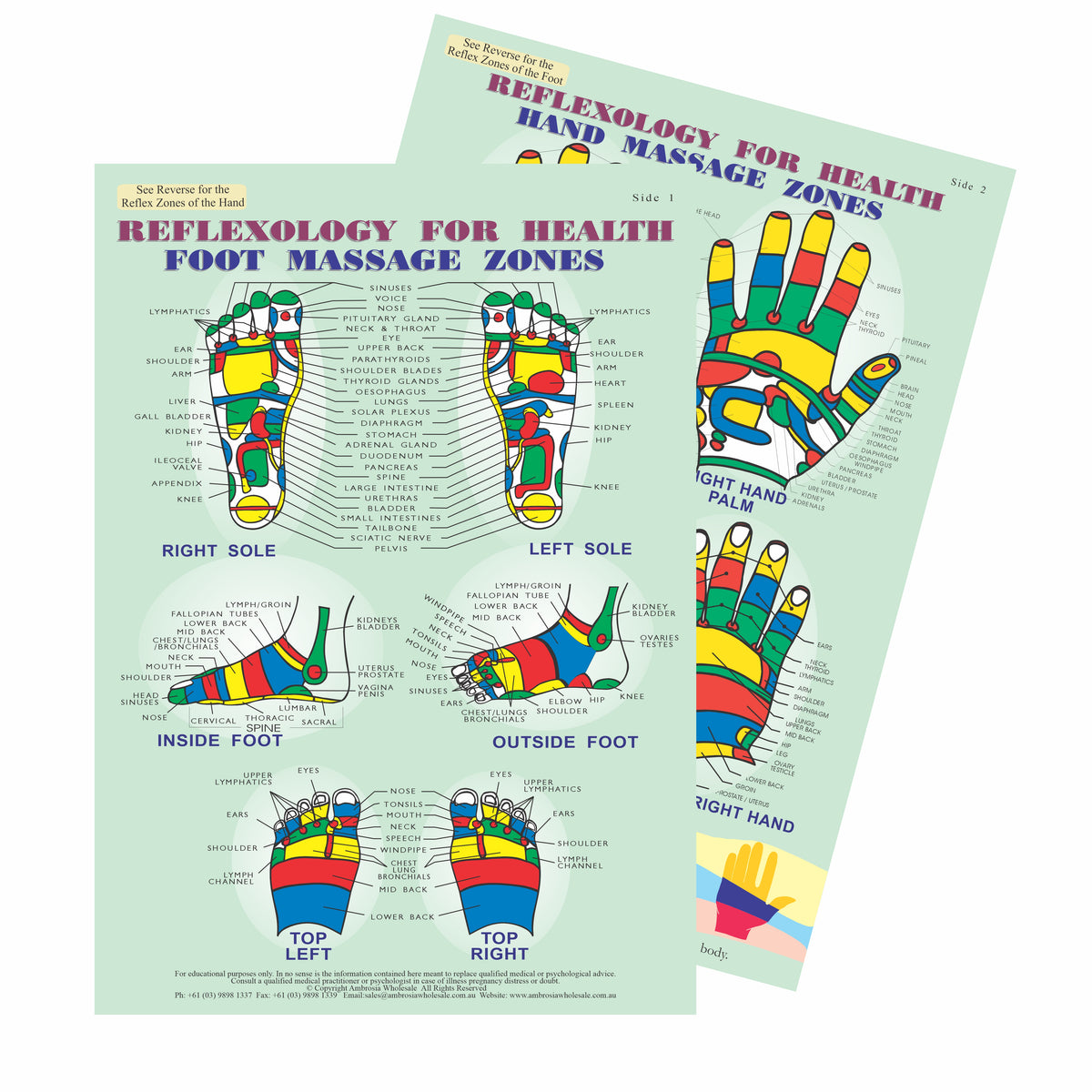 Reflexology Guide Large