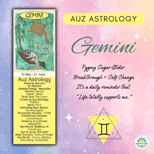 Gemini Bookmark