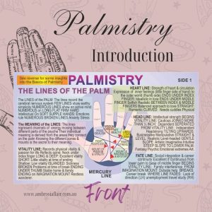 Palmistry Wallet Card